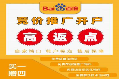 热门SEM运营公司案例深度剖析